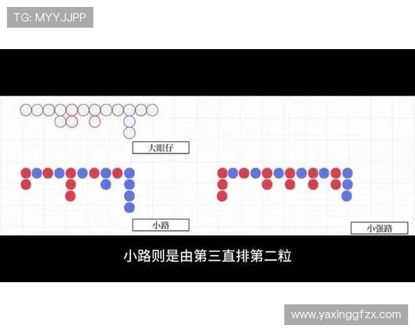 在百家乐路单官网获取专业的走势图解读帮助新手快速入门提升游戏技巧