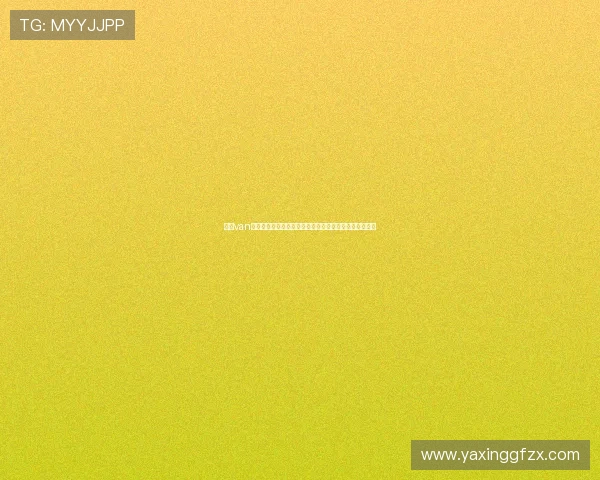 亚星van改装与个性化定制方案推荐,满足不同用户的个性化需求