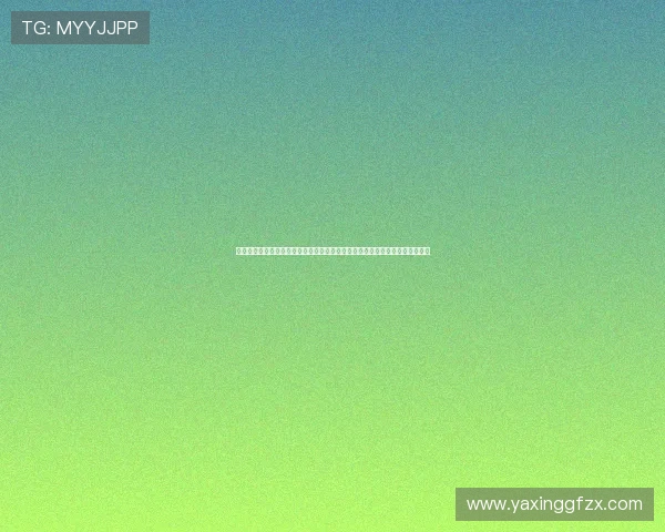 提升亚星代理佣金查询效率的实用技巧与注意事项，帮助代理实现财务管理优化